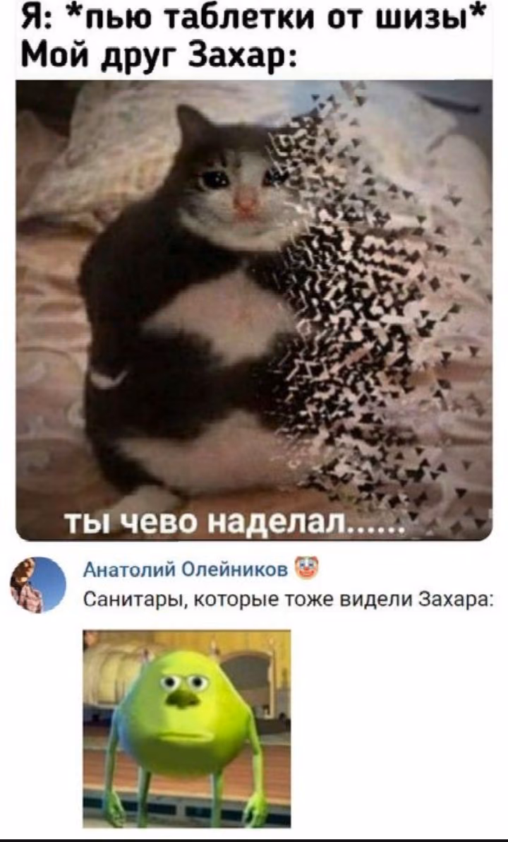 f072b07951db0bdd687289548e9a1ee6.avif