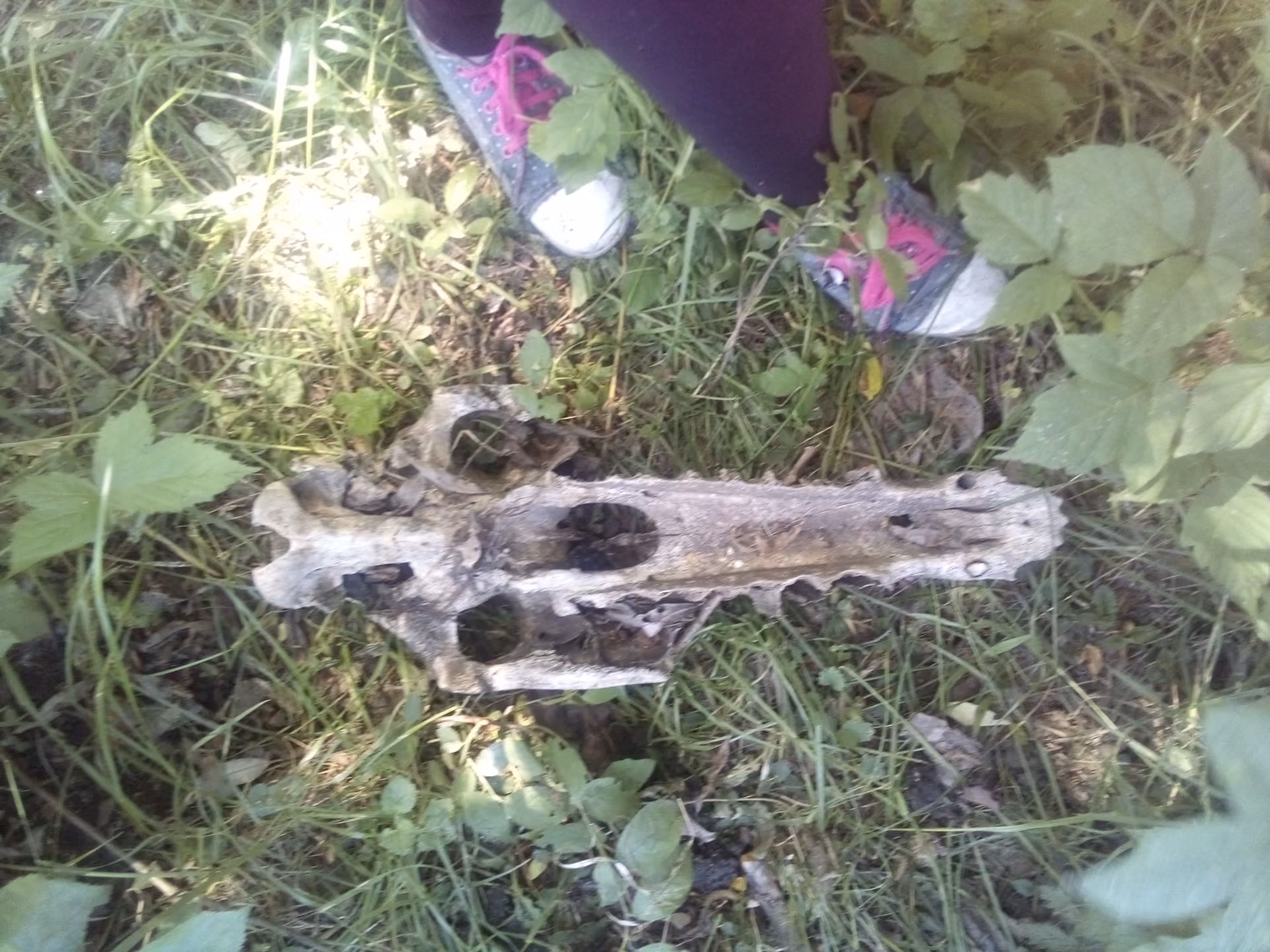 f0782ae672038baf49979cc1c7965eee.jpg