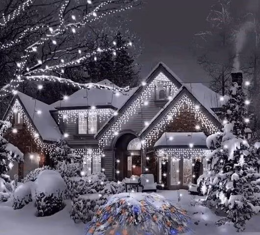 f084d1789349a41e8e642387faba1ae8.jpg