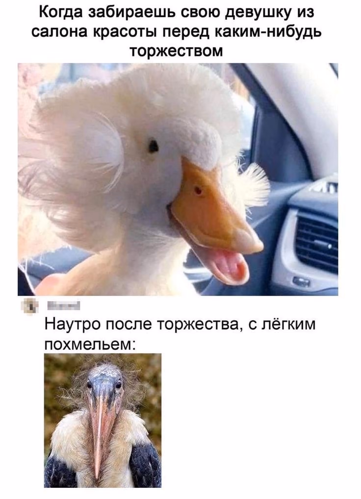 f094779bbbba4781d9579ef83ed2bced.avif