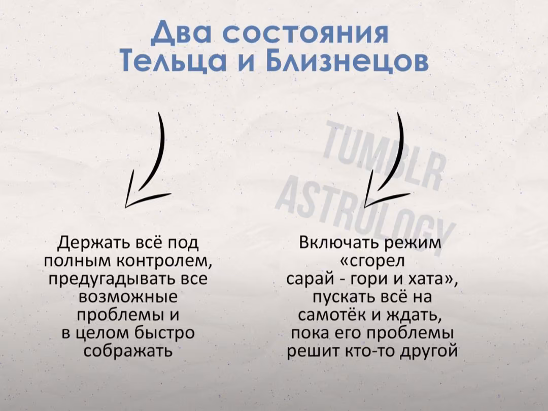 f0955fc5516a30150b159d522bfbce6e.avif