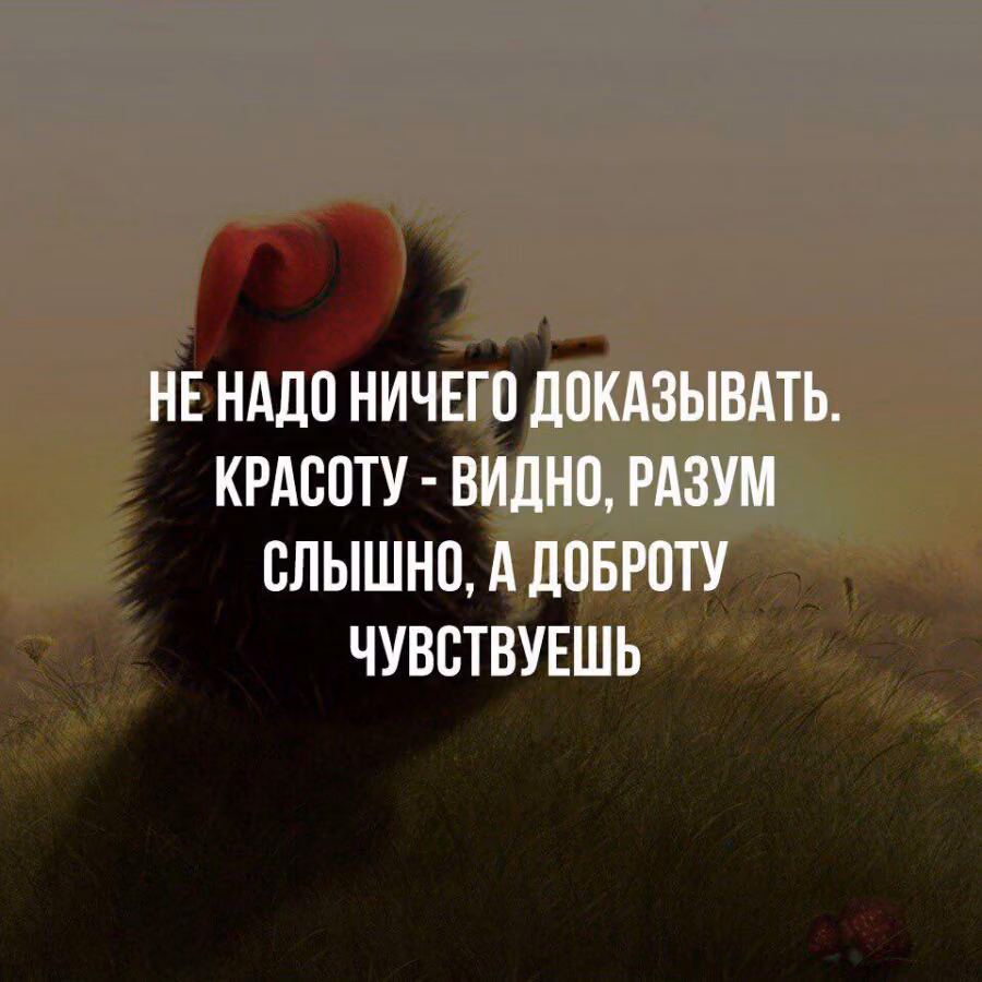 f09b3b86fe08f750710b346b7bef3b9f.jpg