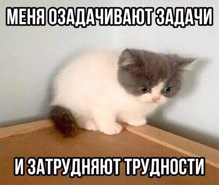 f0b09515c51b8b14bb9c85bccac7cc73.jpg