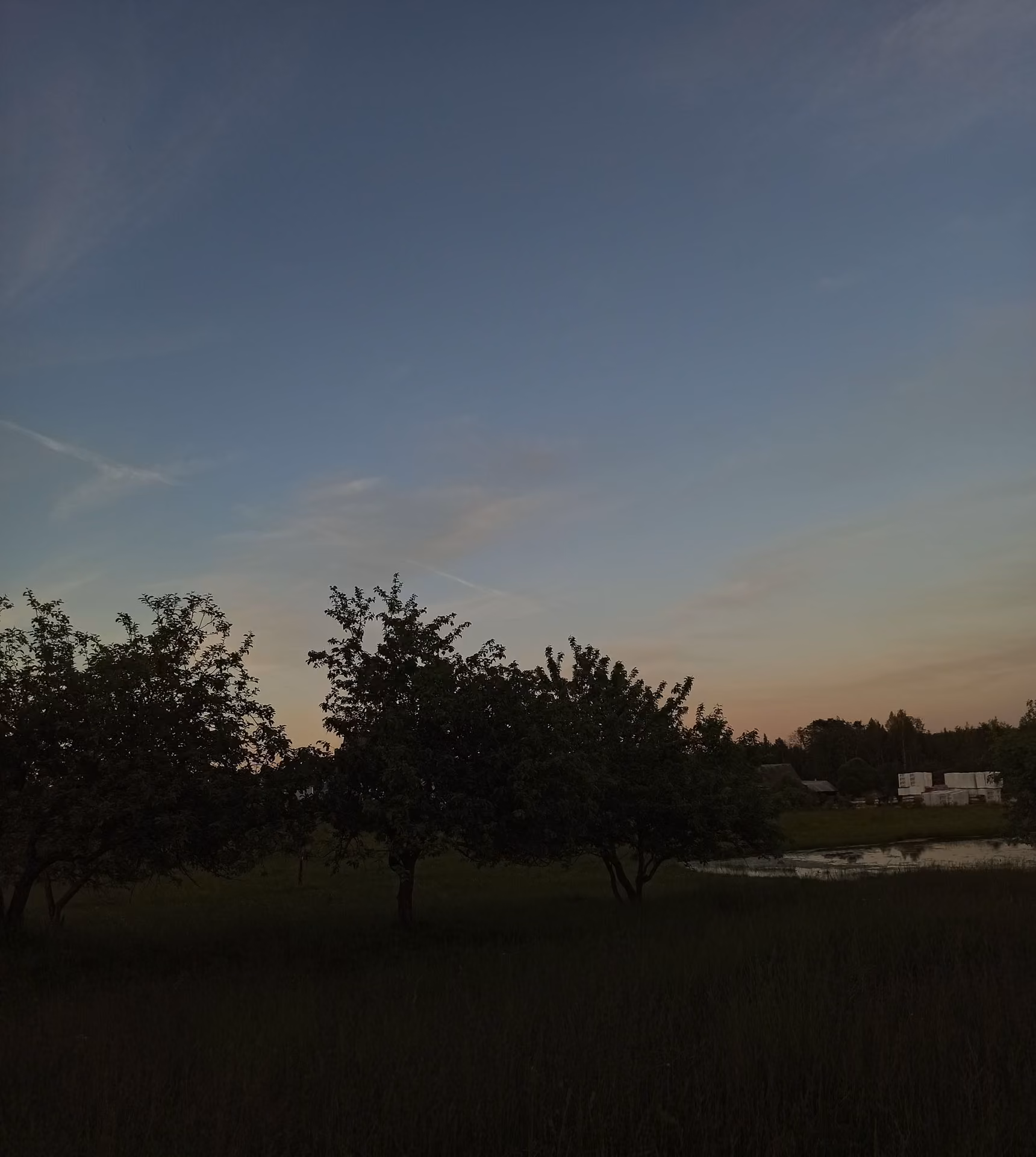f0b76420d304d7d60ce672e1643c0d57.jpg