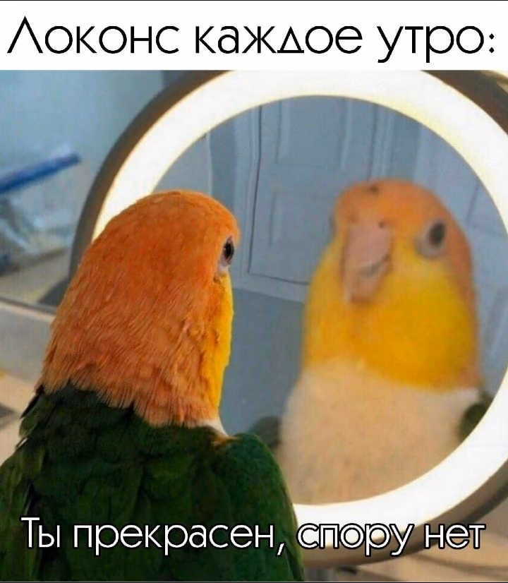 f0bf15402305572127903228fe46cf7f.avif