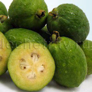 f0c36aba42a62f46efb185fff7c0a558.avif
