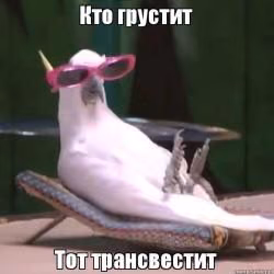f0c772d01301bdb27f1a449a216fe0db.avif