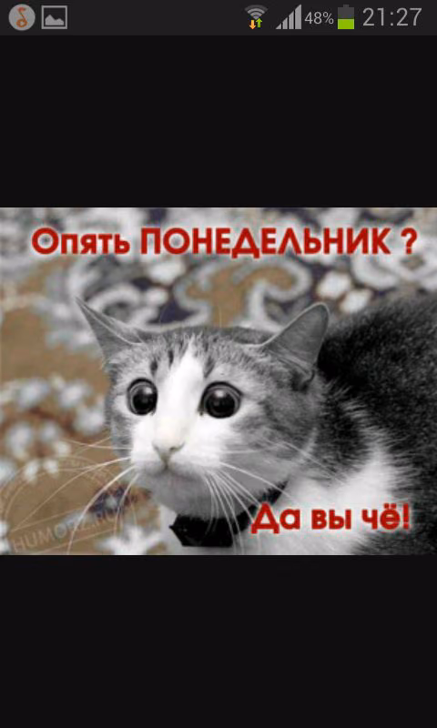 f0cf006a9b0cc37268a9a0e3a6fab4f1.jpg