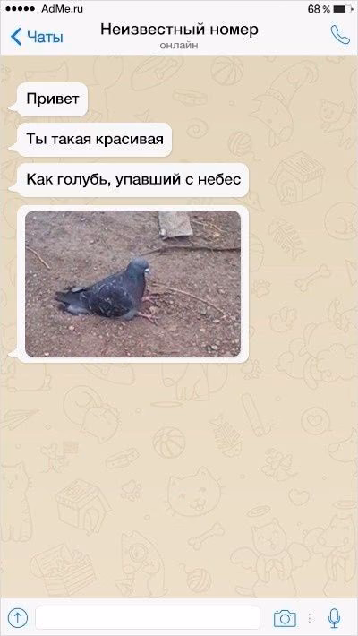 f0d27108e748173cf84e7852753a8173.avif