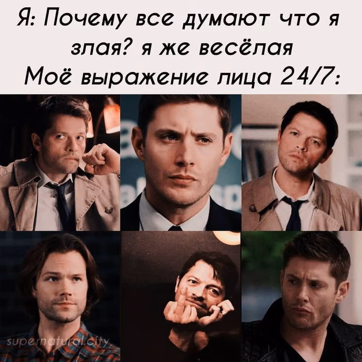 f0e78deb991bb81c85dbd02b85e0c795.avif