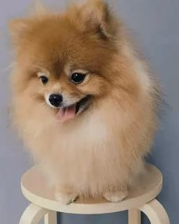 f0eb5ed47cf55e98bd2fb3985c23518d.avif