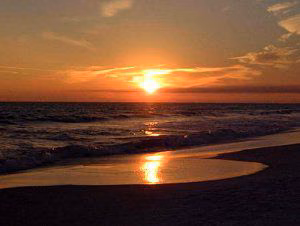 f0ed2707945a0cb0f18c0b52ed73a402.jpg