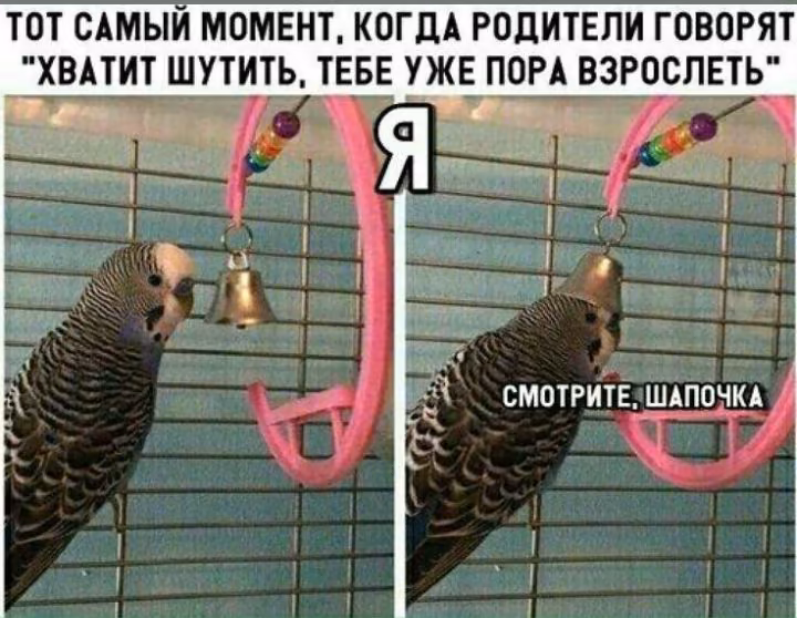 f0f8985d387d5d52f098eccacab3b331.jpg