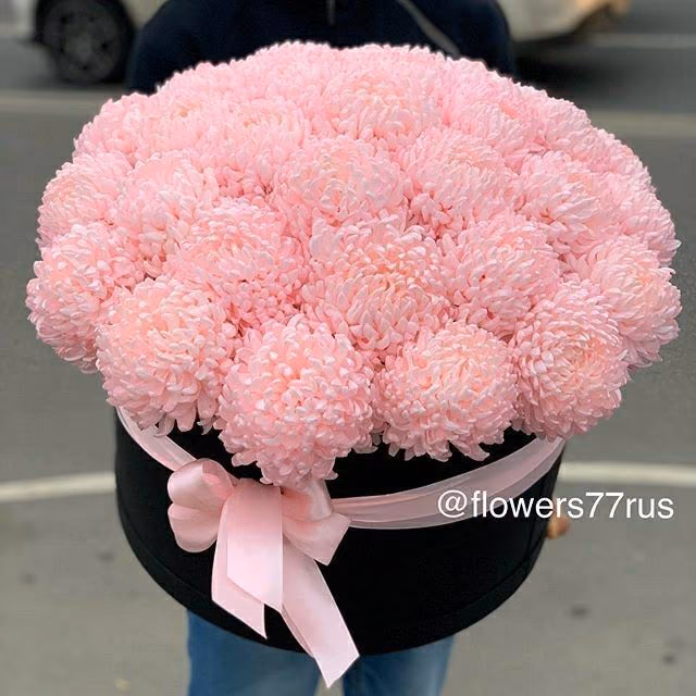 f0fb6ab2ded60f2a4ac297ad572a6973.jpg
