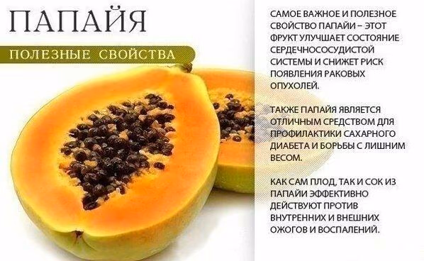 f0fdf53aaf26ab5a626e2529abeb0f9e.avif