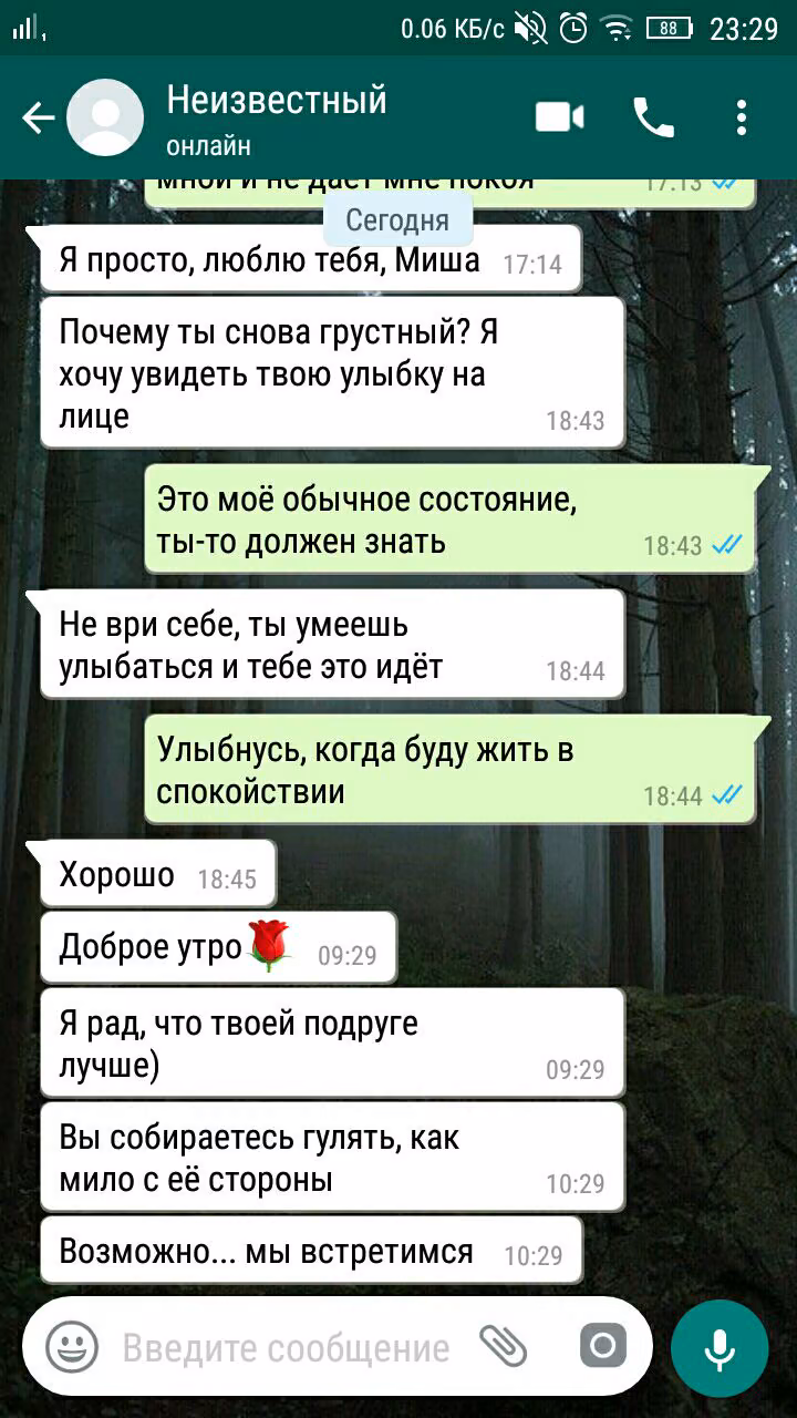 f1001582c1a47f8245d8e7e65c054839.avif