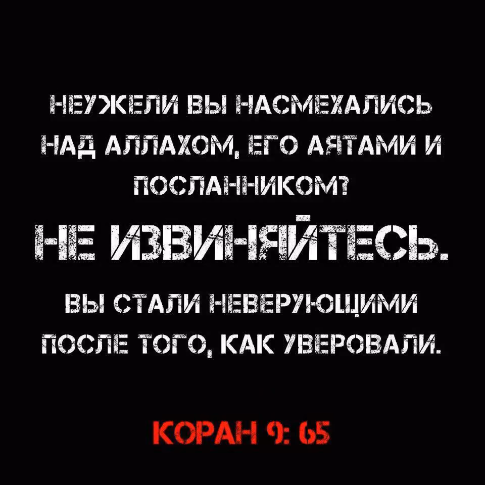 f105112528cc4cb96fdf6f0d4f6af94f.avif