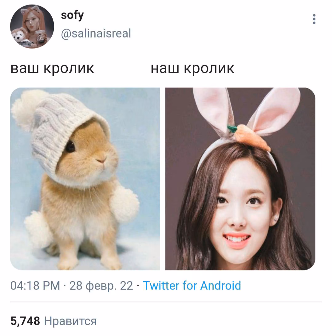 f10ac61cb9de7f6d7ce7af522df7b708.jpg