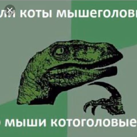 f118d6b6f012f8e3e0486b7e6dea8be5.avif