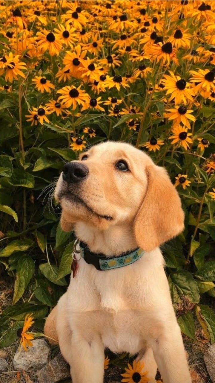 f123a7beb05223ec8c8accd5cf0984e7.avif