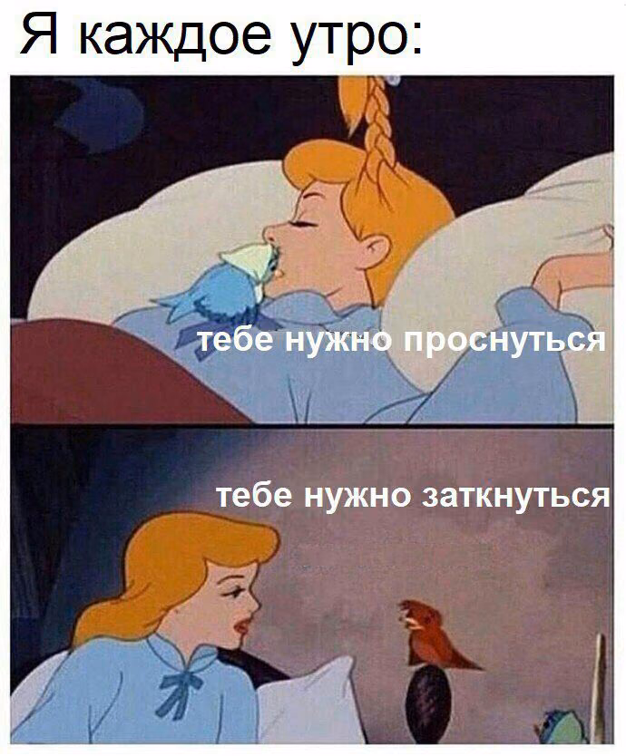 f14338fe42813b7d30f1eb04d8b1b397.avif