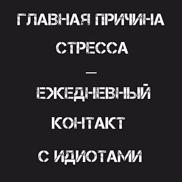 f144dd3baf1fcee94da5d42b8b20cd04.jpg