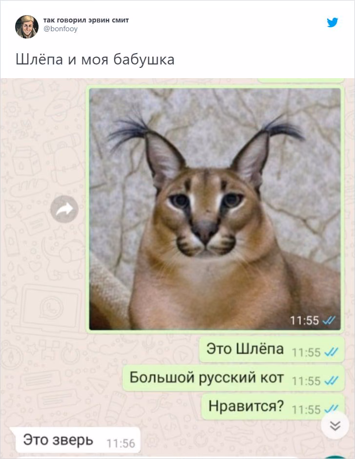 f15c71f231031f89e2439d9f959f99f7.avif