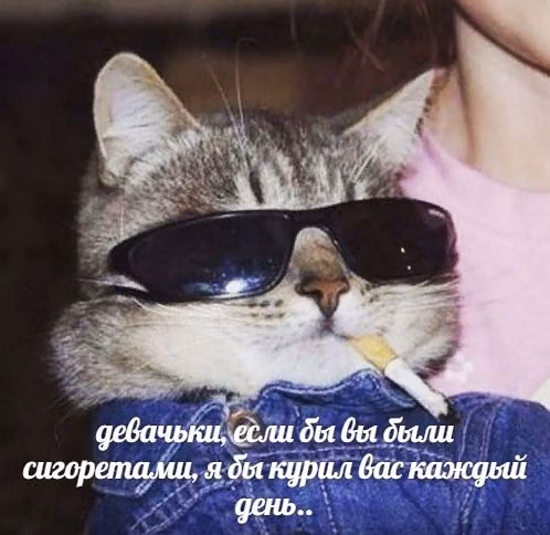 f16965957a45196ea89e2b914d32622c.jpg