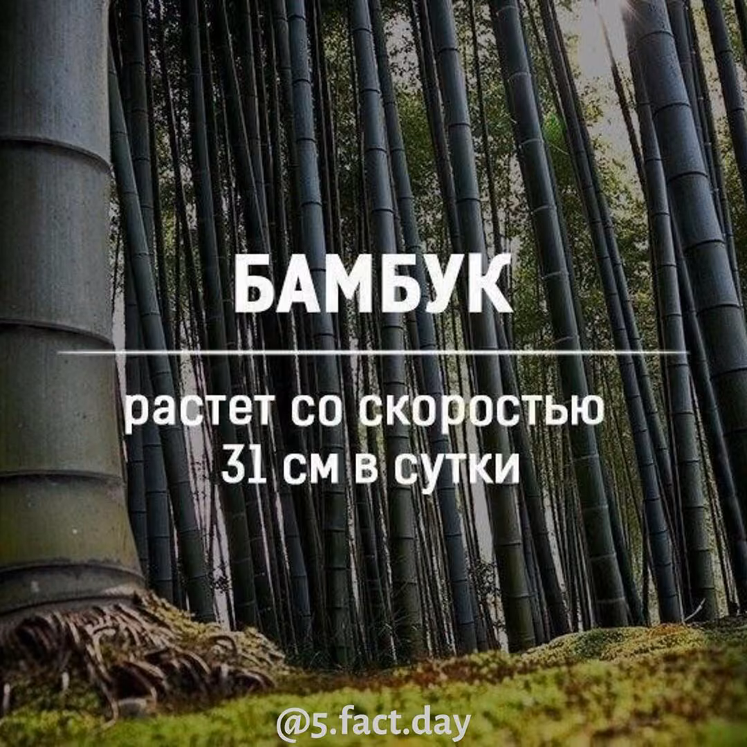 f16a1e0eef588b492b9521bb629d0a6e.jpg