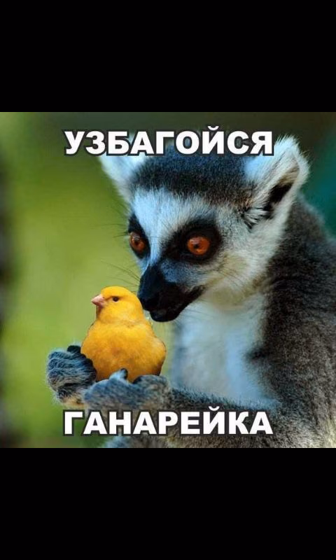 f16cc33d7fba25e7df27531921ca3fb0.avif