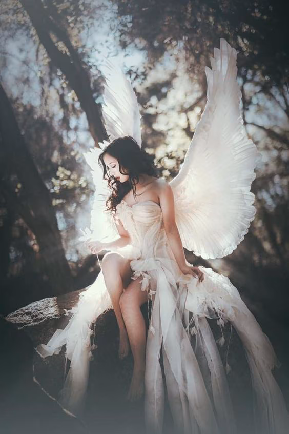 f1835da1c2dae94d3a19b88eb06914a5.avif