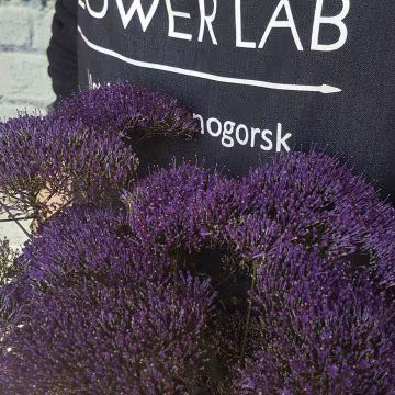 f18b318ab157c8670e99ad76761c0354.jpg