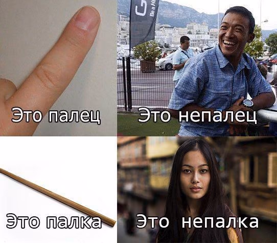 f18b5e8874b70234ab601c4b508a55f8.avif