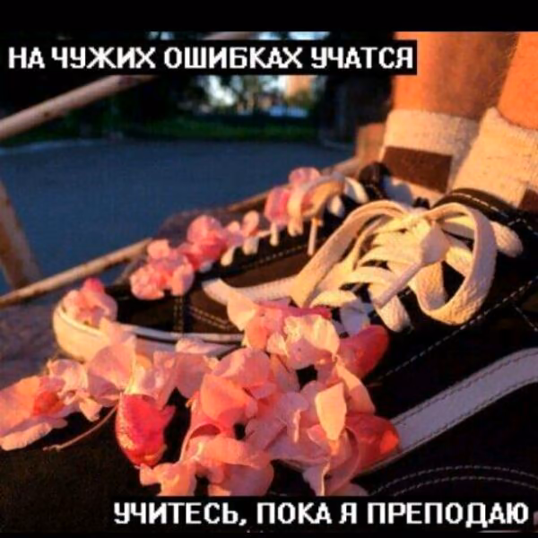 f192a021c2ff8bc4615741e7171856db.jpg