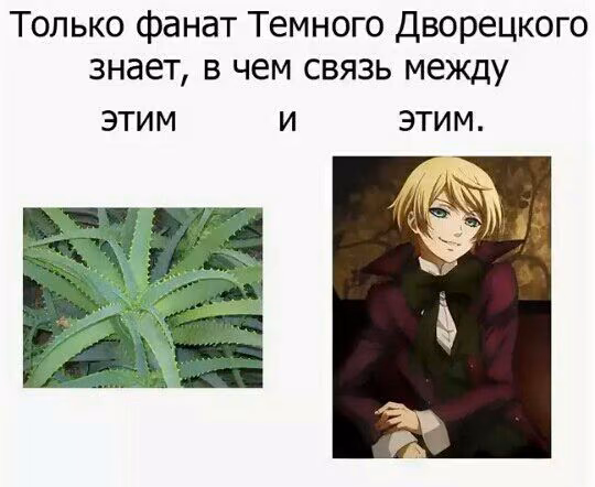 f1c2c5c5b88cc4e73f8465a5e0a0fe3f.jpg