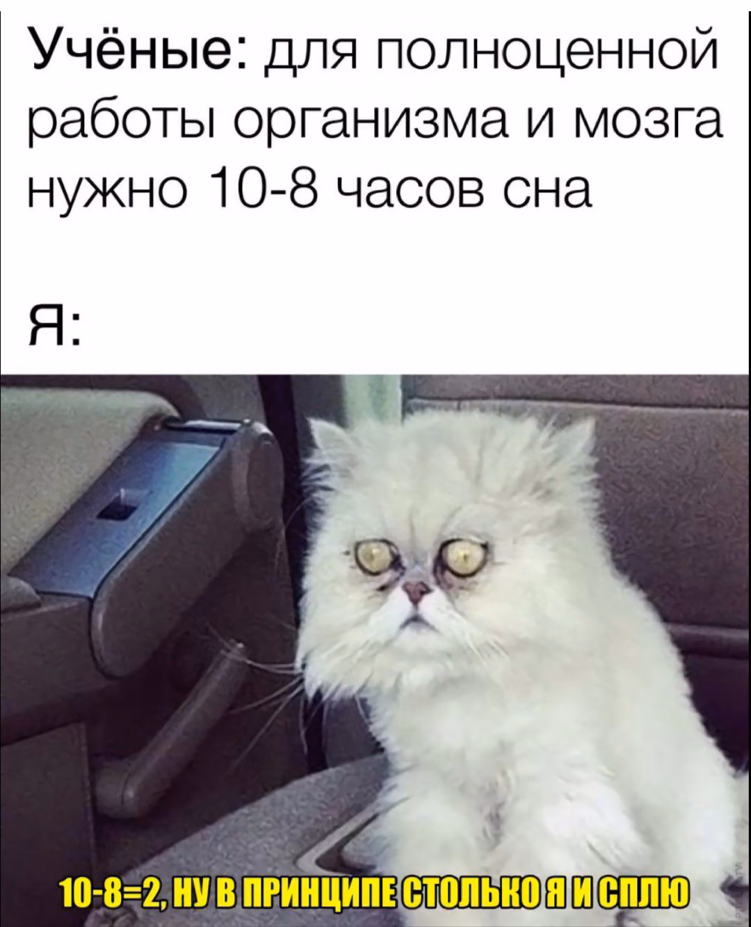 f1c672c17361257640520f0c9f4d2df7.avif