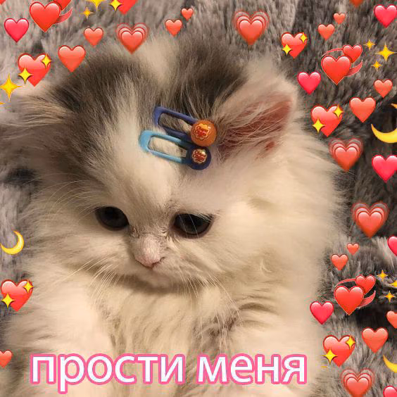 f1d3c942b14e4fe4ca743c7aff5de989.jpg
