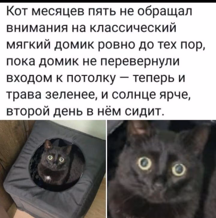 f1dc6bd43b862a3d240489c79c605084.avif