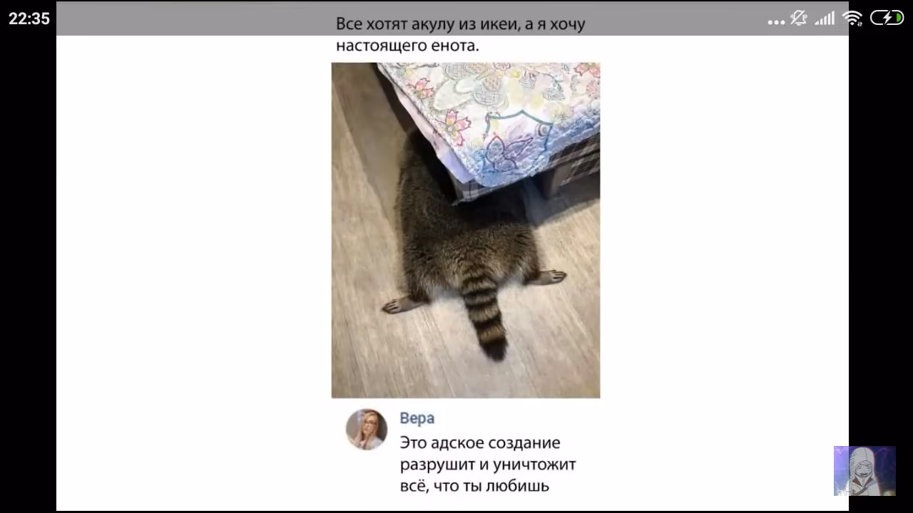 f1ddb9d2f3daaef3ff4bfe402ed65d70.jpg