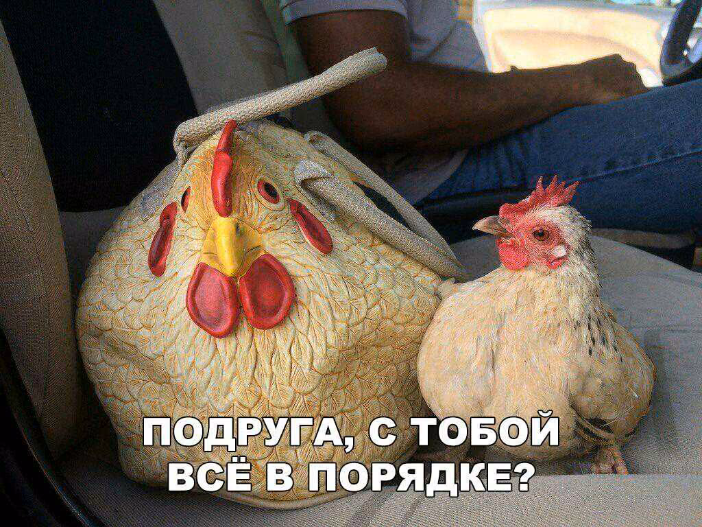f1f039ba8d63642eca1a9e64a5838c15.jpg