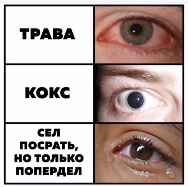 f1ff09ec23def4d4892d217f1878f5a8.jpg