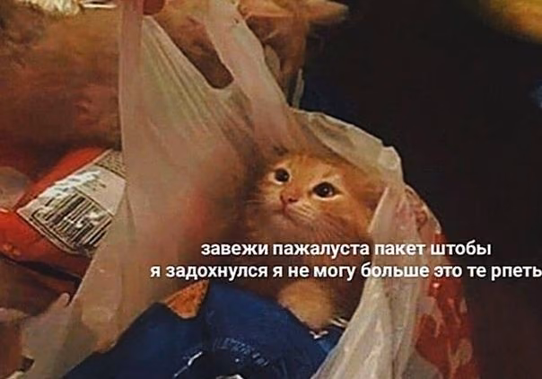 f2024ce0ef9e7dd5bfc1275d24710898.jpg