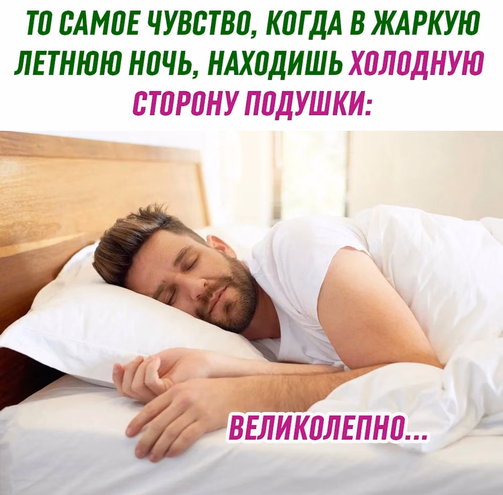 f20f8a5420a3cdfa63048e0bd4732506.avif