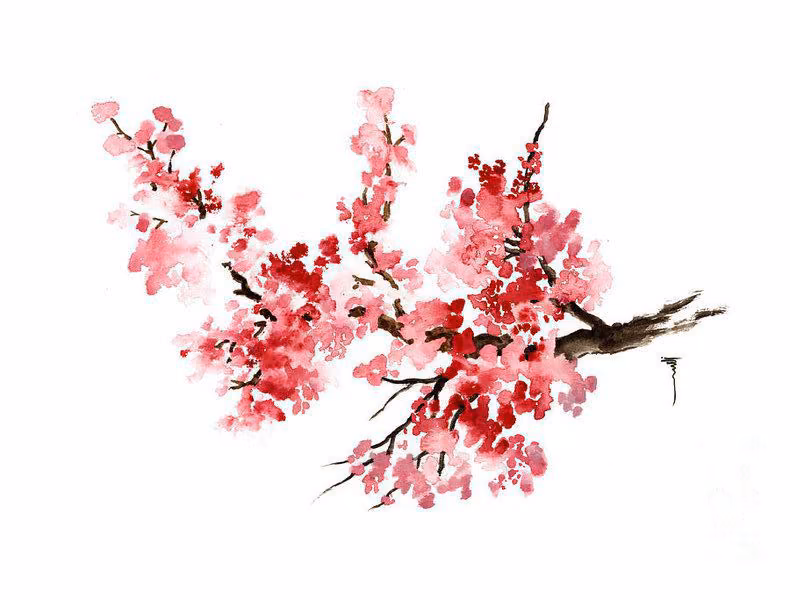 f238a73e940796d8d2c722f67fe5a8d5.avif