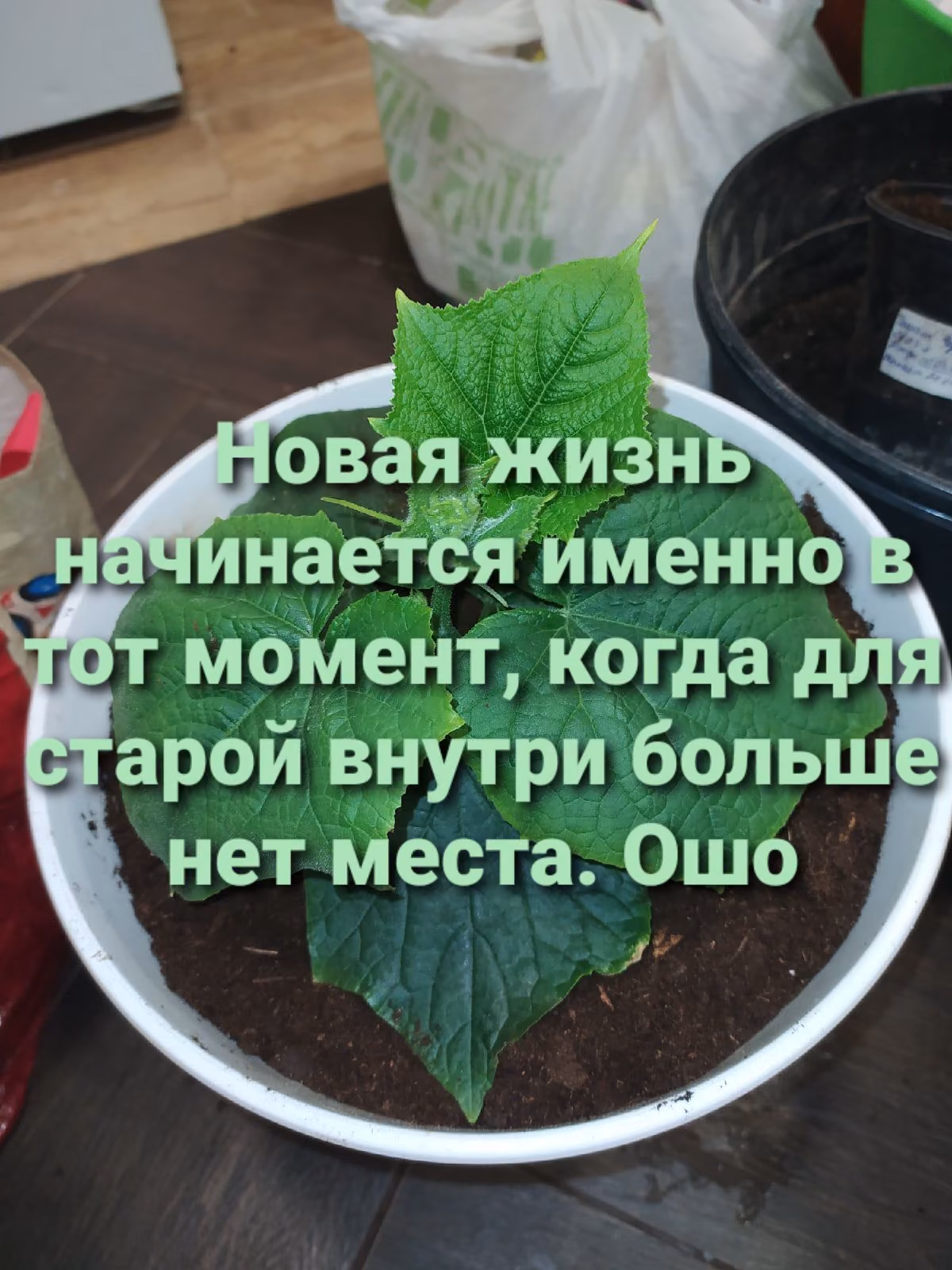 f25cea516430bba0925a00d40849f6b4.jpg