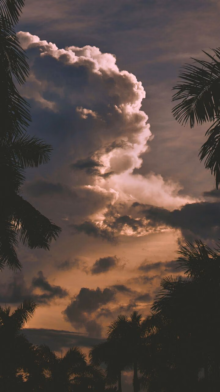 f26bf914a7175ba33d77f177e7df505f.jpg