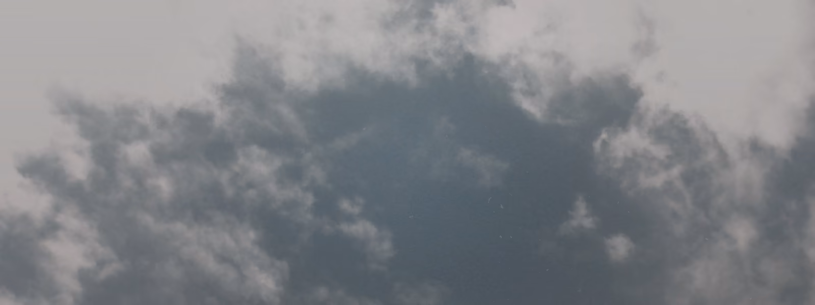 f280e95a9ed39a6f642589408c14dd6b.avif