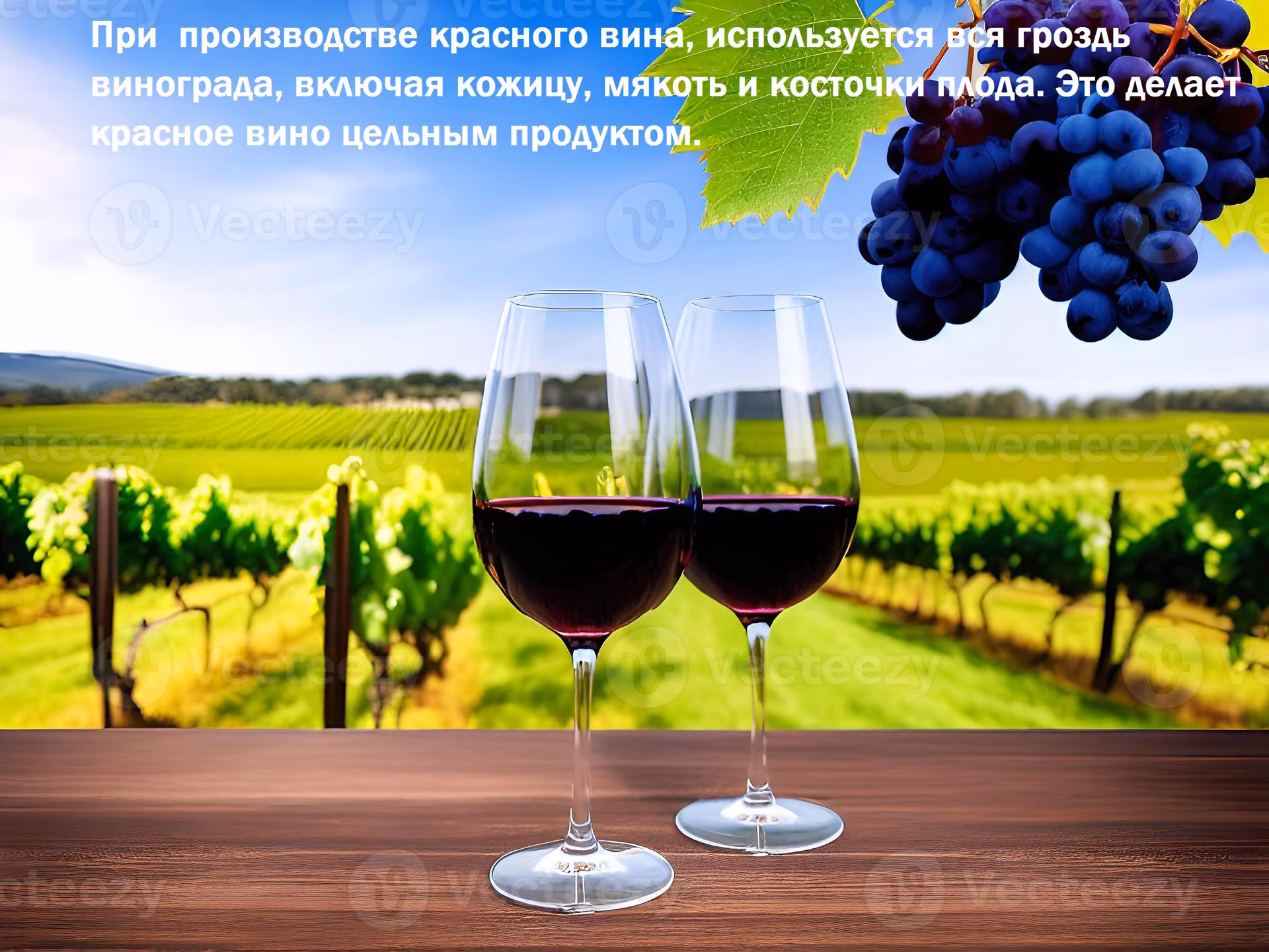 f2ac5296ca61c726e23d761a0d4fe5bd.avif