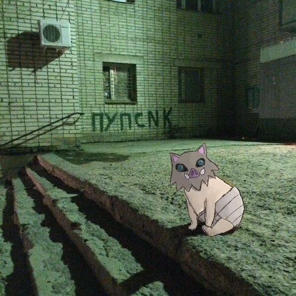 f2bd30aad8a5c2655b53c69164827988.avif