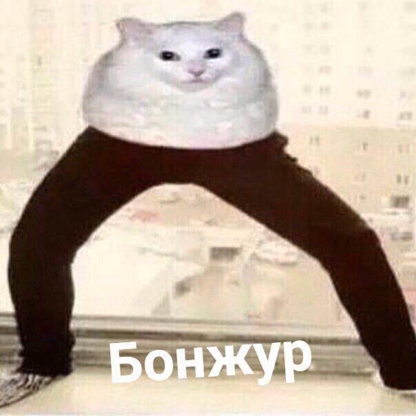 f2c689ad1bdc7769b8d04db559444ff5.jpg